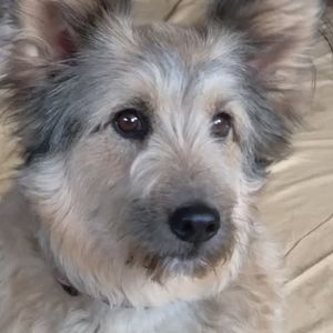 Meet your Posher, Joanne